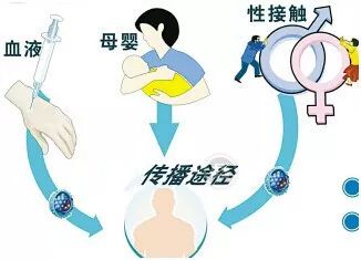 乙肝病毒的傳播途徑是什么