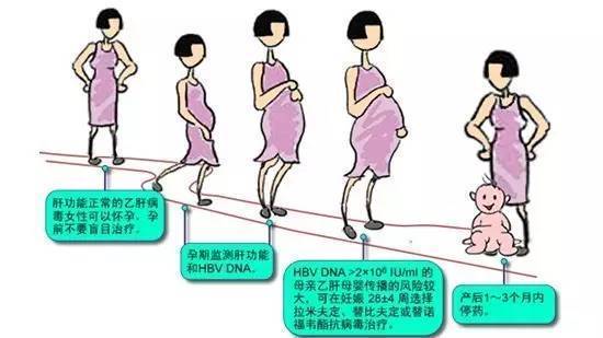 我媽媽有乙肝，會遺傳給我嗎