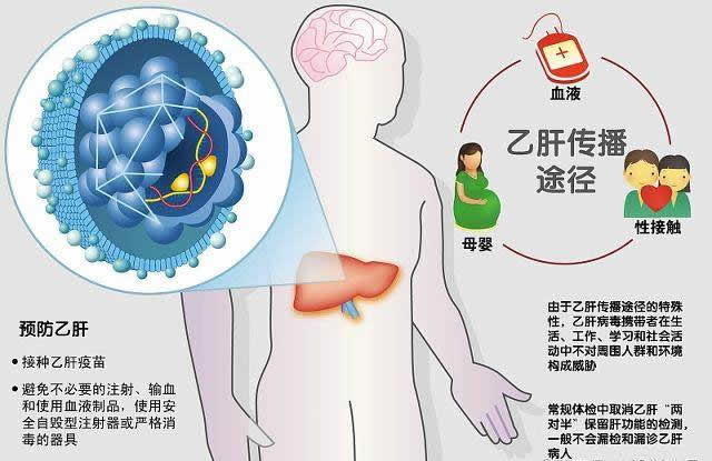 乙肝的預防措施是什么？